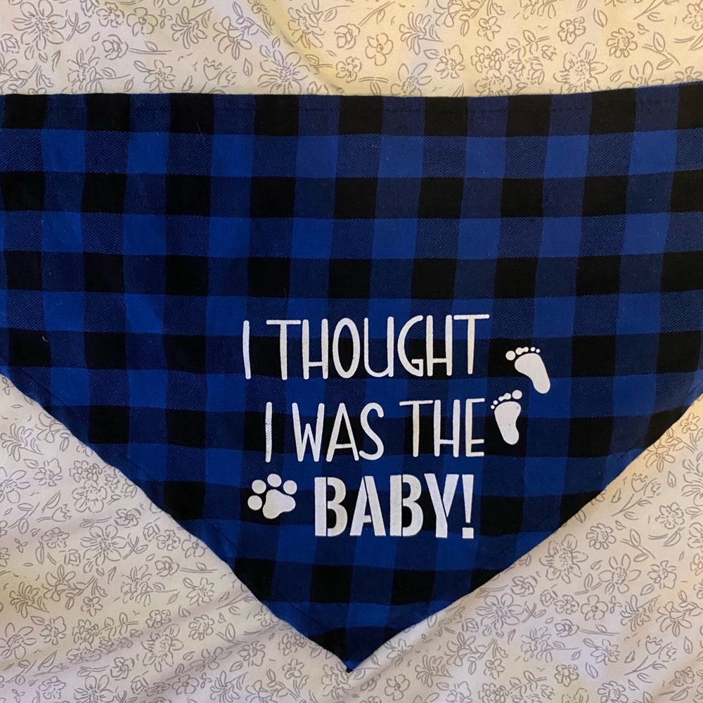 Dog baby announcement bandana